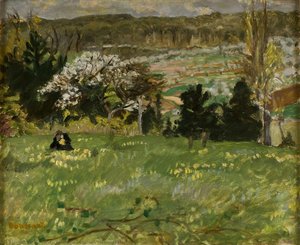 Woman Picking Flowers — पियरे बोनार्ड