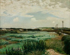 Marazion Marsh — Harold Harvey