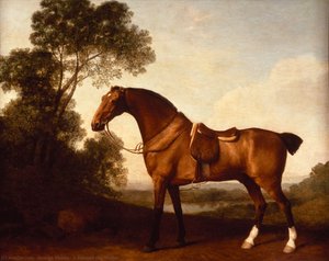 A Saddled Bay Hunter — George Stubbs