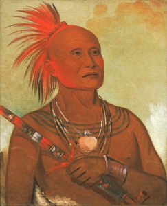 Pam A Hó, El Nadador, Uno De Los Guerreros De Black Hawk — George Catlin