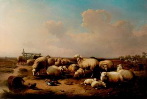The Sheep — Eugène Joseph Verboeckhoven