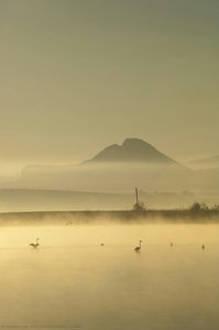 La Peña — Javier Pérez González
