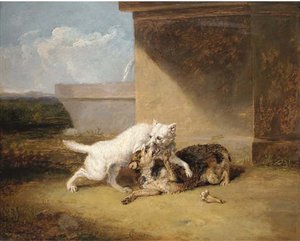 A Dog-fight — Abraham Cooper