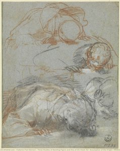 Three Studies Of Bending Figure And One Of His Head (for “assumption Of The Virgin”, Milano, Collezione Castelbarco Albani) — Federico Fiori Barocci