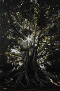 Luminous Revelation in the Primordial Shadows