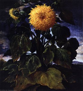 Flower — Bartolomeo Bimbi