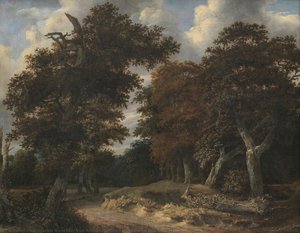 Percorso Attraverso Una Foresta Di Quercia — Jacob Van Ruisdael