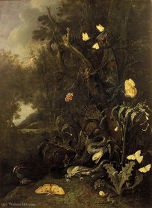 Plants And Insects — Otto Marseus Van Schrieck