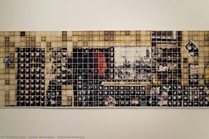 Polaroid Polaroid — Daido Moriyama