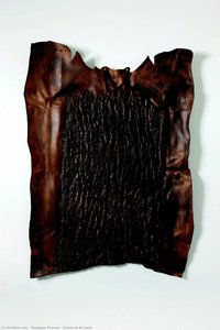 Corteccia Di Cuoio — Giuseppe Penone