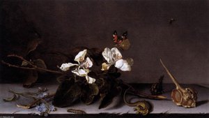 Still-life With Apple Blossoms — Balthasar Van Der Ast
