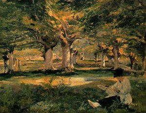 Beech Forest In Urbina — Ignacio Díaz Olano