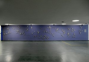 Amazonian Kites — Darlan Rosa De Oliveira