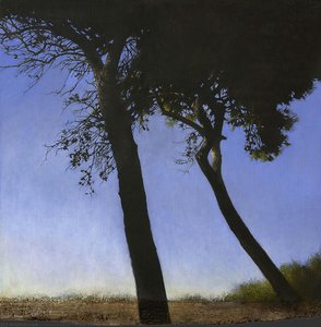 Pine Trees — Maxim Vorobiev