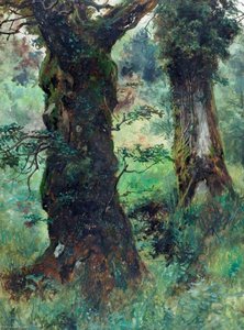 Two Trees Beddgelert Village — Frederick William Hayes