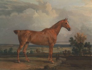 Hunter In A Landscape — James Ward