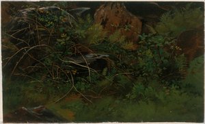 Study From Nature — William Stanley Haseltine