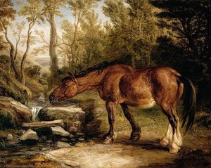 A Horse Drinking At A Stream — James Ward