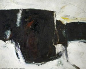 Neil Murison