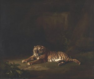Tiger — Джордж Стабс