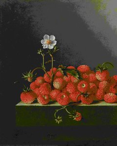 Still Life With Wild Strawberries — After Adriaen Coorte