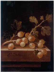 English Gooseberries — After Adriaen Coorte