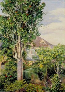 The Garden Of King's House, Spanish Town, Jamaica — Marianne North