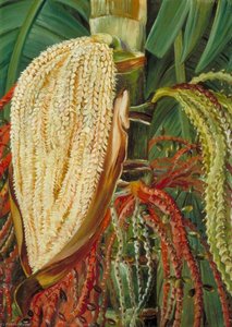 Untitled — Marianne North