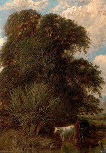 Cows In The Shadow Of A Tree — James Walsham Baldock