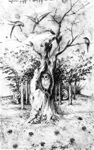 El Bosque Que Escucha Y El Campo Que Ve — Jerónimo Bosch