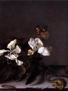 Still-life With Apple Blossoms (detail) — Balthasar Van Der Ast