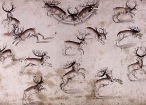Study For A Wall Decoration With Stags — Lucas Cranach The Younger
