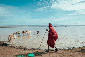 Protectors Of The Community — Vibhor Yadav