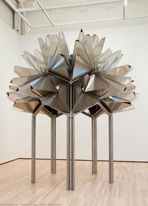 Flower Observatory — Ólafur Elíasson