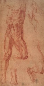 Study For Haman — Michelangelo Morlaiter