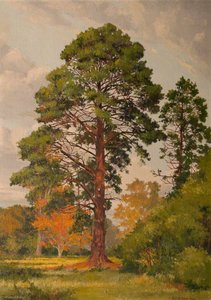 Monarch Of The Glade — Robert John Woods