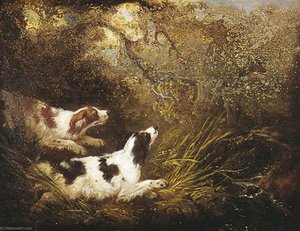 Charles Henry Schwanfelder