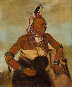 Wa Ho Béck Ee, Un Valoroso Affascinante — George Catlin