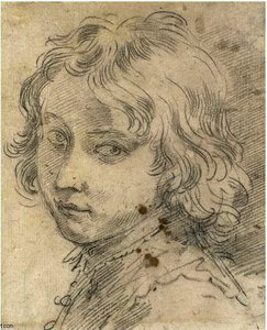 Head Of A Young Boy — Donato Creti