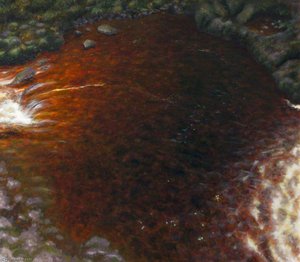 Dark Water Enigma — Carol Graham