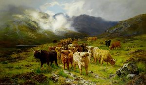 Highland Cattle, Isle Of Skye — Louis Bosworth Hurt