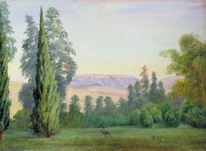 Vista Della Table Mountain Dalla Casa Del Vescovo Colenso, Natal — Marianne North