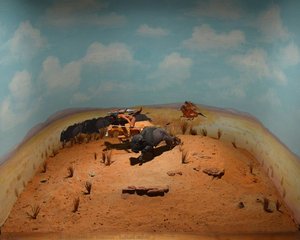 Buffalo Hunt — Allan Capron Houser