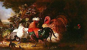 Oiseaux De Basse Cour — Melchior De Hondecoetter