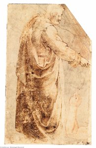 Männliche Figur Nach Masaccio, Armstudien (vorderseite) — Michelangelo Buonarroti