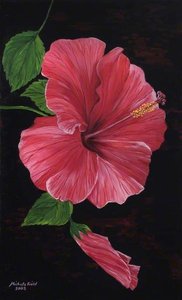 Hibiscus — Michele Elizabeth Field