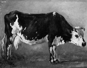 Etude De Vache — Jacques Raymond Brascassat