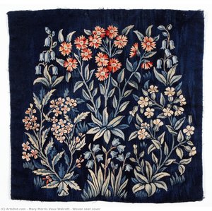 Woven Seat Cover — Mary Vaux Walcottová