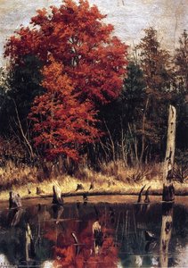 Autumn Wood In North Carolina With Tree Stumps In Water — William Aiken Walker