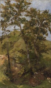 Italiano Ruscello — Bartolomeo Bezzi